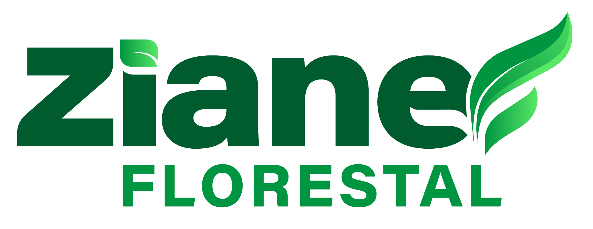 Ziane Florestal